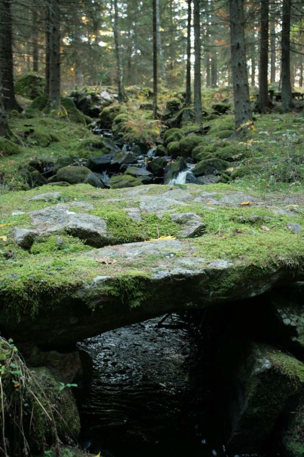 Draengstugan I Humla Blidsberg Exterior foto